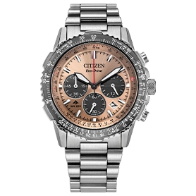 Shop Citizen Promaster