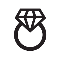 Ring Icon