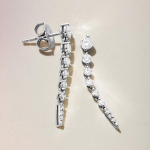 Fashion Earrings